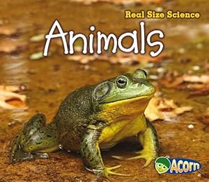 Animals: Real Size Science