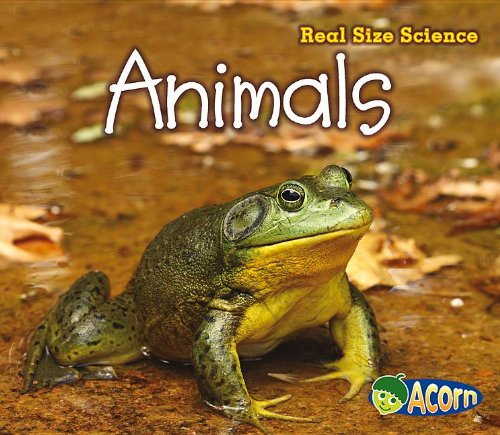 Animals: Real Size Science by Rebecca Rissman