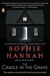 The Cradle in the Grave: A Zailer and Waterhouse Mystery