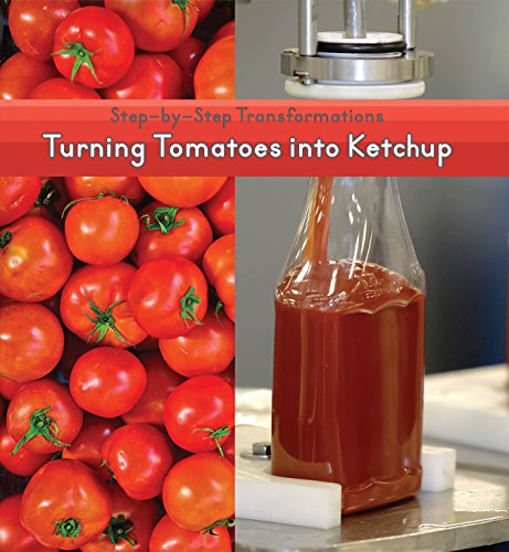 Turning Tomatoes Into Ketchup by Dawn James