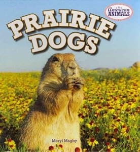 Prairie Dogs