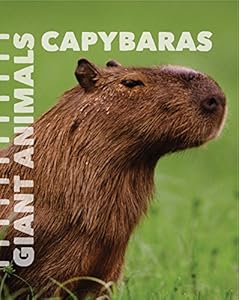 Capybaras