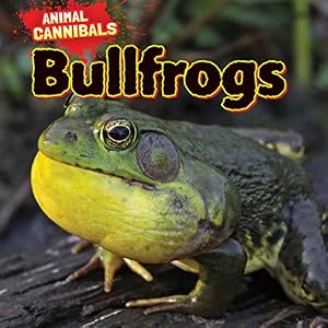 Bullfrogs by Sam Hesper