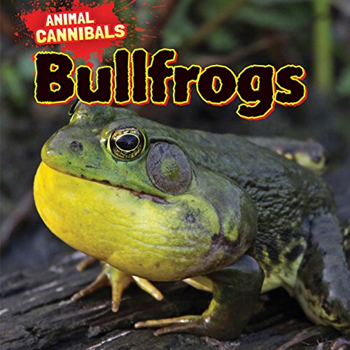 Bullfrogs by Sam Hesper