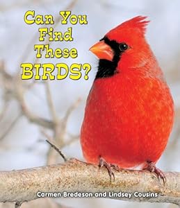 Can You Find These Birds?