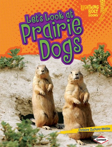 Let's look at prairie dogs by Christine Zuchora-Walske