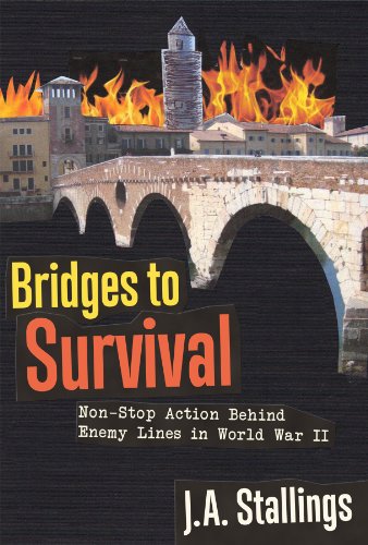Bridges to Survival by Desmond Bagley