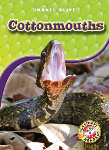 Cottonmouths (Blastoff! Readers: Snakes Alive) (Blastoff! Readers: Snakes Alive: Level 3) by Colleen Sexton
