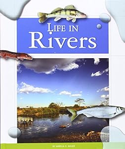 Life in Rivers