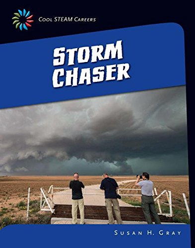 Storm Chaser by Susan Heinrichs Gray