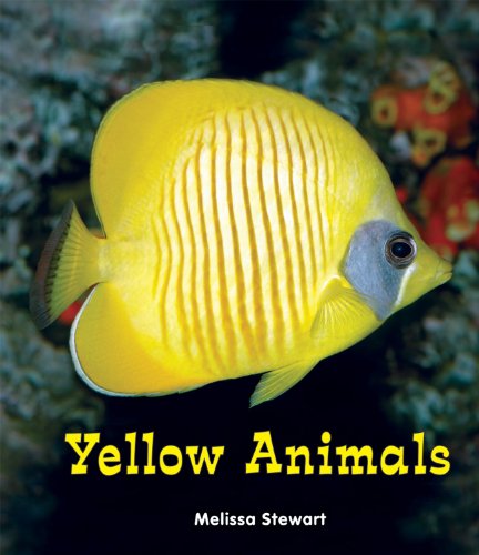Yellow Animals by Melissa Stewart