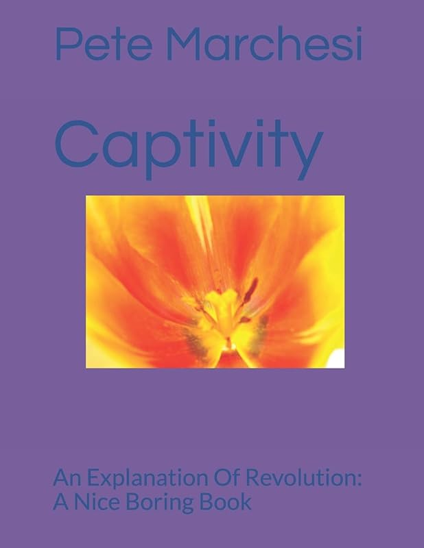 Captivity: An Explanation Of Revolution: A Nice Boring Book by Pete Marchesi