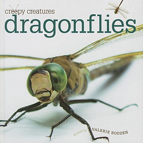 Dragonflies by Valerie Bodden