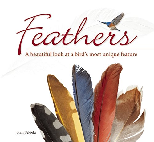 Feathers: A Beautiful Look at a Bird's Most Unique Feature by Stan Tekiela