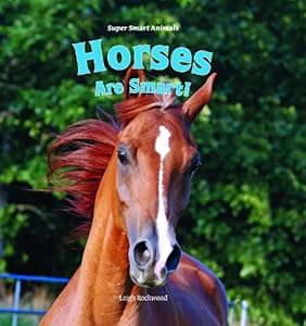 Horses Are Smart!