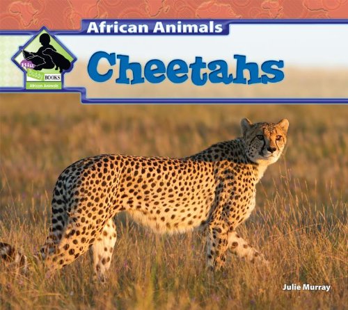 Cheetahs by Julie Murray