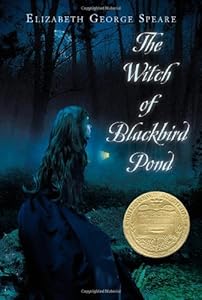 The Witch of Blackbird Pond