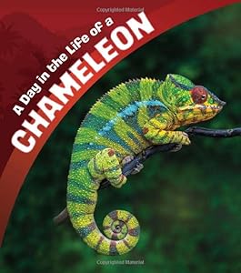 A Day in the Life of a Chameleon (A+ Books: A Day in the Life)