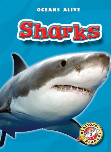Sharks by Colleen Sexton