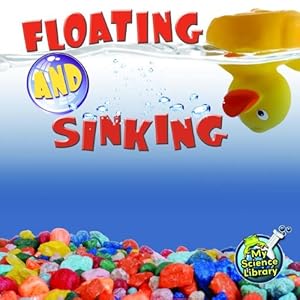 Floating and Sinking by Amy S. Hansen  ,
