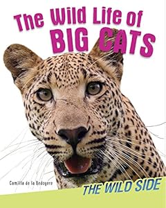 The Wild Life of Big Cats