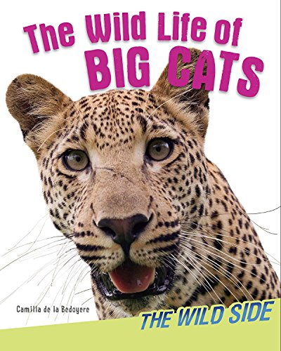 The Wild Life of Big Cats by Camilla de la Bedoyere