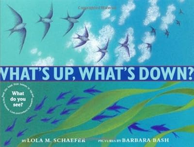 What's Up, What's Down?