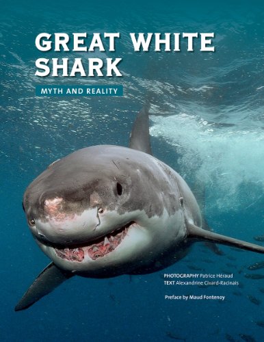 Great White Shark: Myth and Reality by Alexandrine Civard-Racinais
