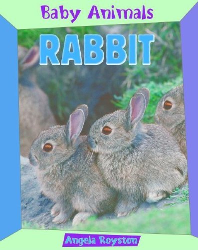 Rabbit (Baby Animals) by Angela Royston