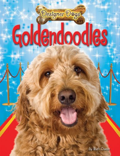 Goldendoodles by Ruth Owen