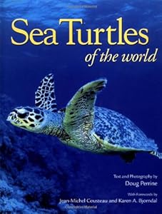 Sea Turtles of the World (Worldlife Discovery Guides)