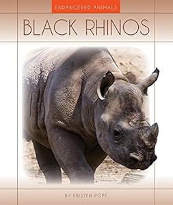 Black Rhinos