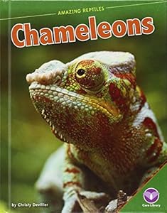 Chameleons by Christy Devillier