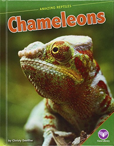 Chameleons by Christy Devillier