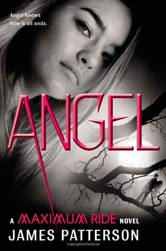 Angel: A Maximum Ride Novel by James Patterson