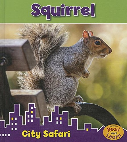 Squirrel: City Safari by Isabel Thomas