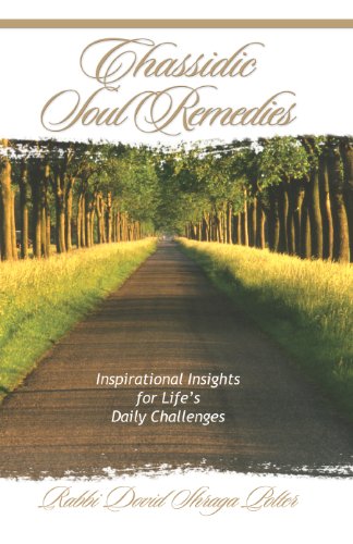 Chassidic Soul Remedies by Dovid Shraga Polter