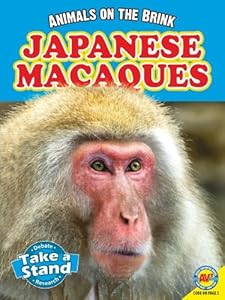 Japanese Macaques