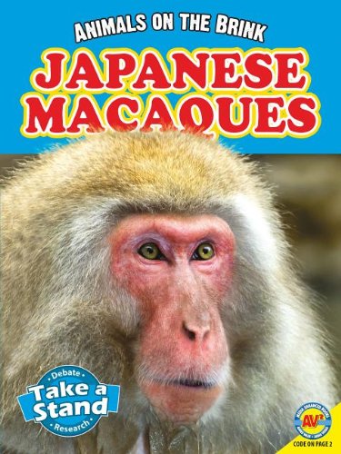 Japanese Macaques by Patricia Miller-Schroeder
