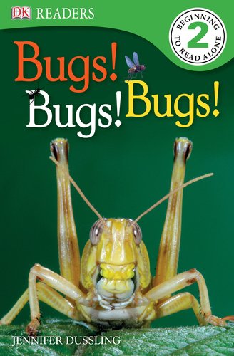 Bugs! Bugs! Bugs! by Jennifer Dussling