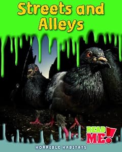 Streets and Alleys (Read Me!)