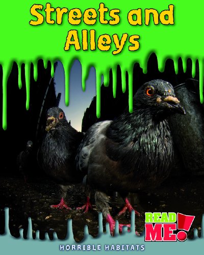 Streets and Alleys (Read Me!) by Sharon Katz Cooper