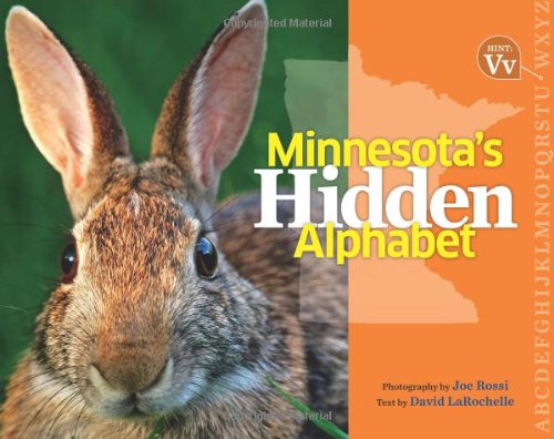 Minnesota's Hidden Alphabet by David LaRochelle