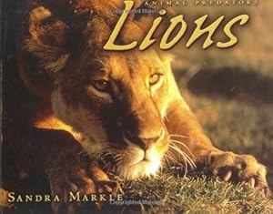 Lions (Animal Predators)