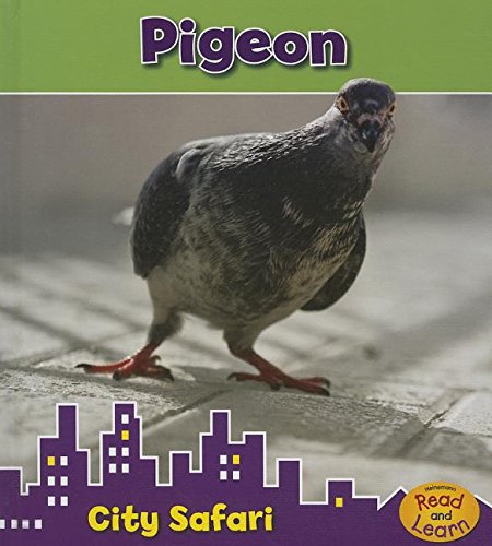 Pigeon: City Safari by Isabel Thomas