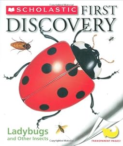Ladybugs and Other Insects