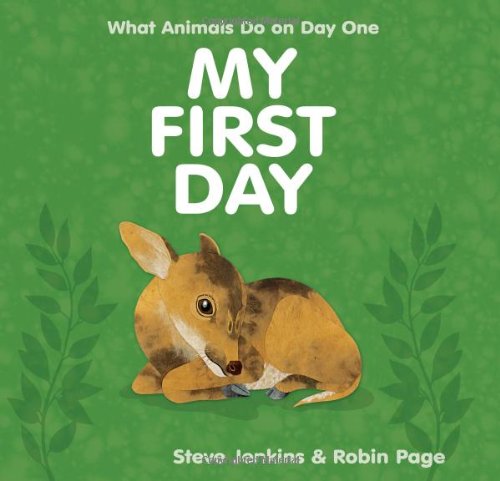 My First Day by Steve Jenkins