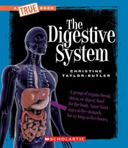 The Digestive System