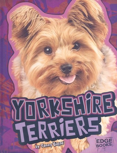 Yorkshire Terriers by Tammy Gagne