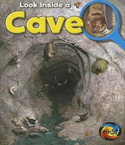 Cave: Look Inside
